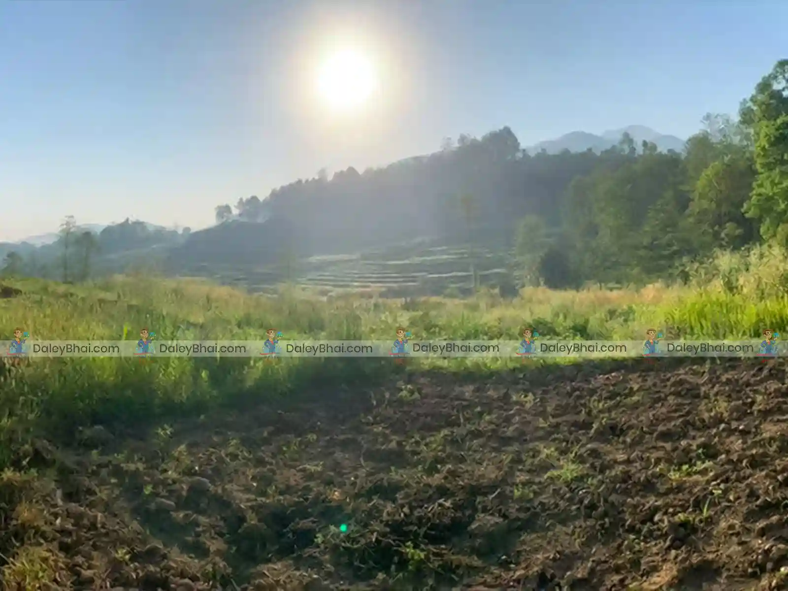 Land