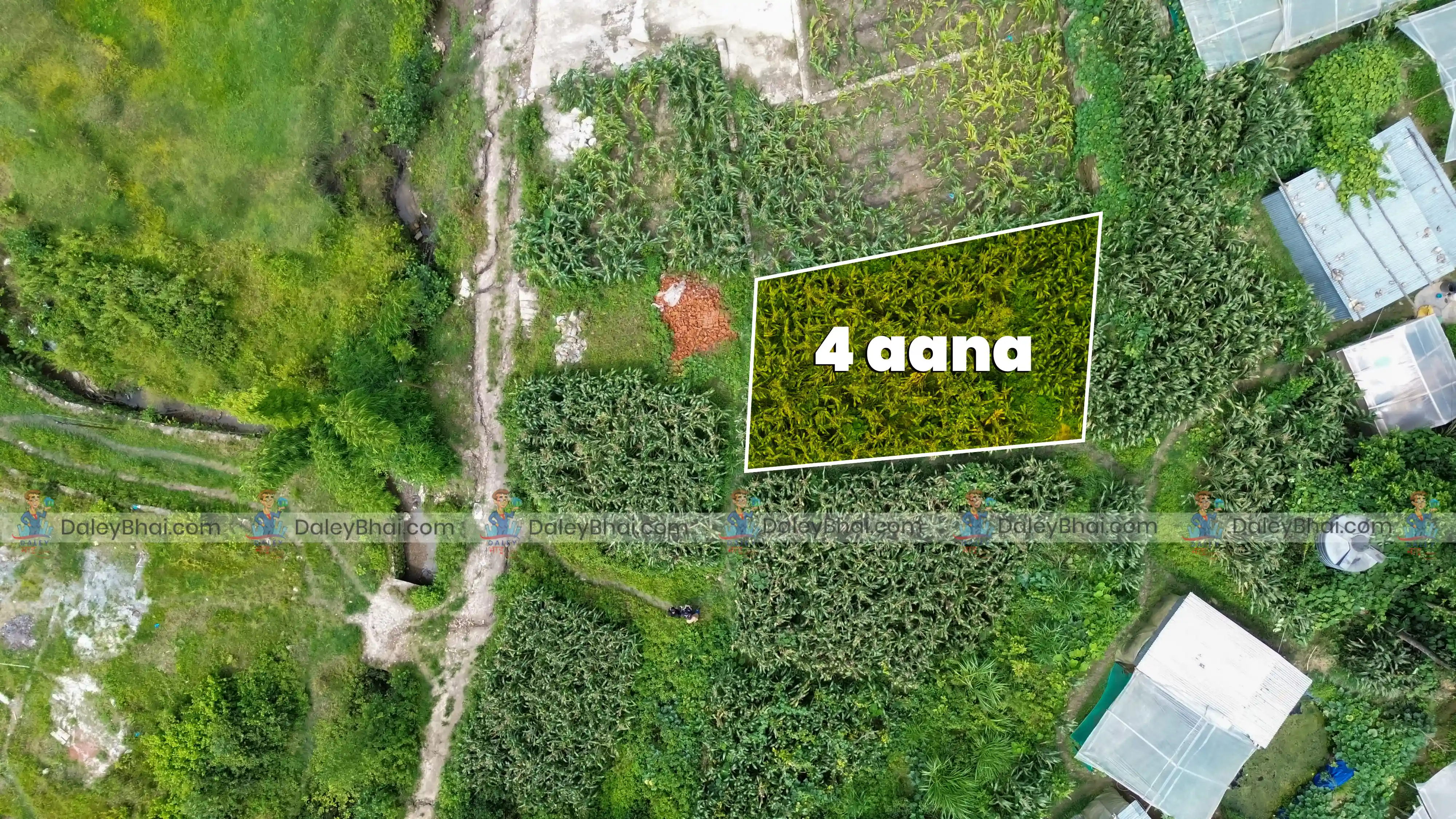 Land
