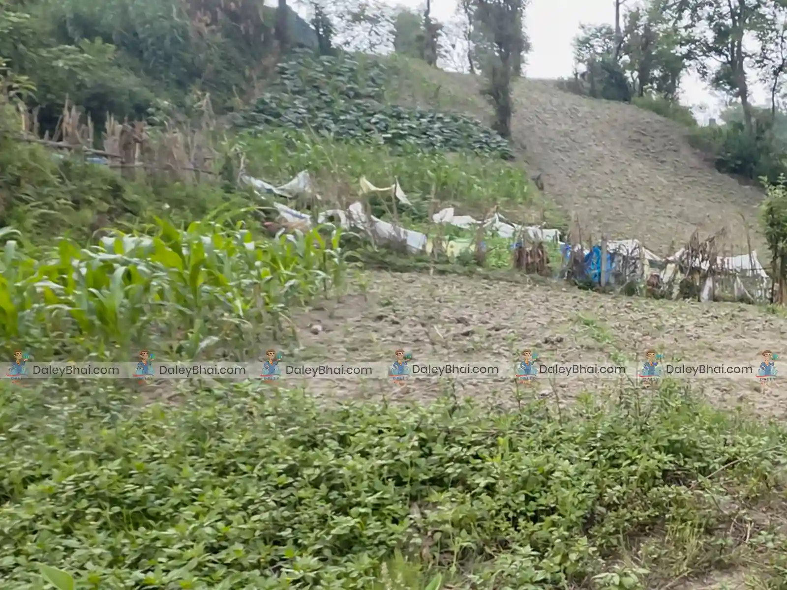 Land for sale in Thimi